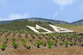 Notes intenses de chocolat noir, de figues sèches et de poivre. Mas Amiel Maury