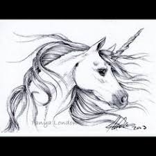 Highlight the width and height of the image. Pencil Unicorn Drawings Realistic Novocom Top