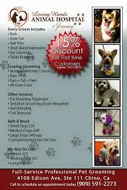 Check spelling or type a new query. Loving Hands Animal Hospital 4108 Edison Ave Ste 111 Chino Ca 91710 Yp Com