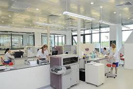 Synevo este lider în diagnosticul de laborator din moldova, oferind peste 2.000 de tipuri de analize medicale uzuale și avansate în toate domeniile de diagnostic clinic. Synevo Romania Servicii Medicale De Laborator Medicina Timisoara