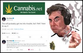 Elon musk has, once again, caused quite the stir on twitter after changing his display picture to a fork. Why Elon Musk S Marijuana Legalization Tweet Matters This Time Around