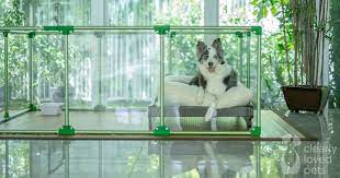 Big dogs need large dog kennels. Lucidium Dog Pens By Clearly Loved Pets Feature Acrylic Walls