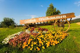 Wandern Und Natur Stadt Zell Am Harmersbach