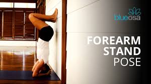 Want someone to build you a custom made progression plan for doing your handstand? Headstand A Hard Yoga Pose Made Easy Blue Osa Yoga Retreat Spa