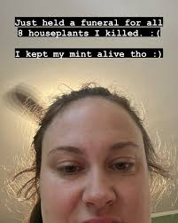 June so far ✨☀️🦈