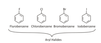Which Of The Following Compounds Can Be Classified As Allylic Halides?