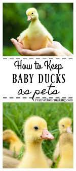 Pin On Creative Homemaking