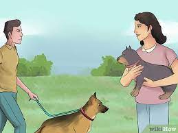 Jul 12, 2021 · stocks ended lower friday, giving up initial gains after a consumer survey showed inflation fears were on the rise. Die Zuneigung Eines Hundes Gewinnen 12 Schritte Mit Bildern Wikihow