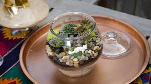 Free delivery and returns on ebay plus items for plus members. Diy Succulent Terrarium Youtube