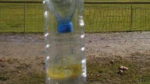 Il est source de difficultés du fait de sa présence dans les zones urbanisées, mais également d'un point de vue environnemental. Fabriquer Un Piege A Frelons Asiatiques