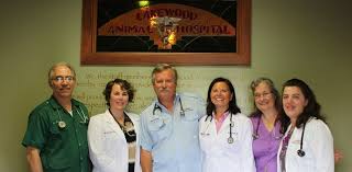 6 371 dog vet stock video clips in 4k and hd for creative projects. Home Lakewood Animal Hospital