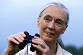 Jane Goodall Biography
