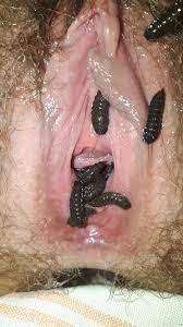 Maggots in pussy