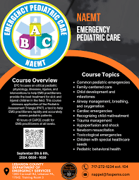 Image result for Pediatric Assessment Triangle