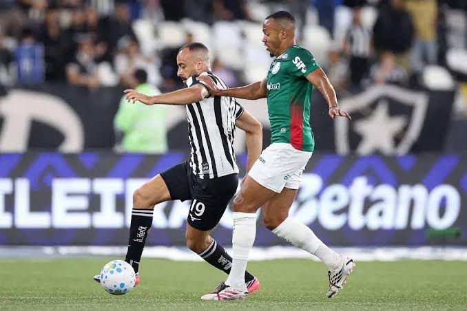 Palmeiras perde a lideran&ccedil;a ap&oacute;s empate sem gols com o Botafogo