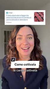 Hamburguisini Pensijini