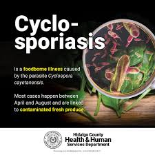 Image result for Cyclospora