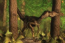 New Fossil Reveals Velociraptor Sported Feathers | Scientific American
