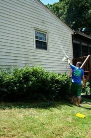 Mold Busters Or How To Clean Vinyl Siding Cleaning Vinyl Siding Clean Siding Vinyl Siding