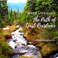 We did not find results for: When Love Takes The Path Of Least Resistance Matchless Beauty
