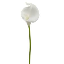 Ranges of fake plants wholesale are full shape. Bulk Buying Artificial Flowers Real Touch Florist Supplies Uk