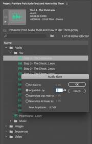 Torn between adobe's premiere elements 2019 and premiere pro? Adobe Premiere Pro Vs Premiere Elements In Depth Look 2020