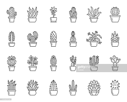 Cactus Thin Line Icon Set Outline Web Sign Kit Of Succulent Home Cactus Tattoo Cactus Illustration Succulent Tattoo Cacti make the best house plants. cactus thin line icon set outline web