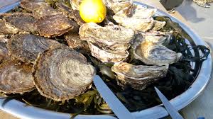 Het oestermeisje laat jouw gasten heerlijke oesters proeven. Zeeuwse Oesters Weer Verkrijgbaar Vis Winkel Online