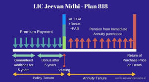 lic new jeevan nidhi plan 818 all details with