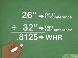 First, measure your hip circumference. How To Calculate Your Waist To Hip Ratio 12 Steps With Pictures