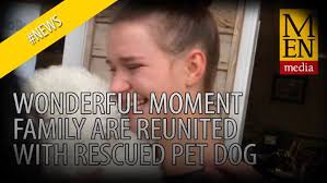 Wonderful moment family are reunited with their pet dog