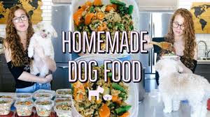 healthy dog food recipe cooking
