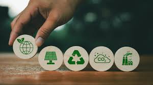 Sostenibilidad: qué es - Solo Dinero
