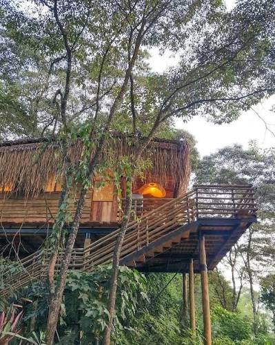 Treehouse stays in Kenya are rare, and finding one this close to Nairobi is even rarer. If you're dreaming of a cosy escape in nature with someone special, we've got just the