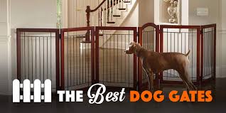 At petco, you'll find a variety of dog gate styles suited for your needs: 10 Best Dog Gates For Indoor Use Staircases 2021 Reviews