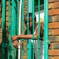 Coli Cougar Concert event in Mabopane