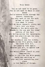 Gypsyred Mary Oliver Wild Geese Moo Mary Oliver Poems Love Words Poems