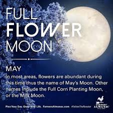 When Is The Next Full Moon 2020 Full Moon Dates And Names May Full Moon May Moon Moon Date
