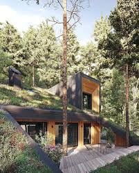 Pin By Ronny Liebow On Terrazas Verdes Green Roof Design Earth Sheltered Homes Architecture