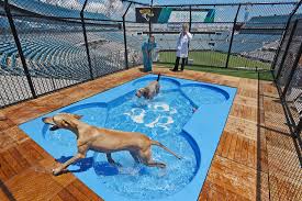 Jacksonville jaguars fans will be able to watch a game this season while sitting in a pool inside a similar package of 20 tickets on the upper level of the party deck, which does not include pool access. New Tailgating Park For Dogs Unveiled At Tiaa Bank Field News The Florida Times Union Jacksonville Fl