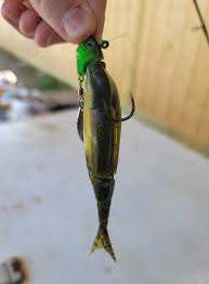 Harris Brake lake fishing