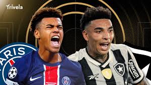 Kelly medanie contenido