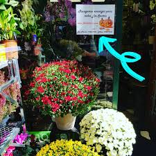 Floristería Bilbao Gandarias