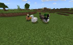 First, comment the mod you want instructions on. Yfarm Craft Minecraft Pe Mods Addons