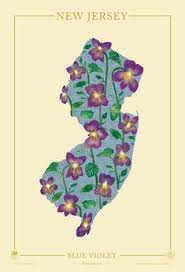 Find Your Usda Zone With These State Maps Planting Zones Map Gardening Zones Plant Hardiness Zone Map