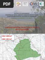 Image result for Indigofera laxiracemosa