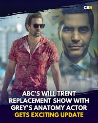 A fan-favorite Grey's Anatomy actor is getting his own hourlong drama  series