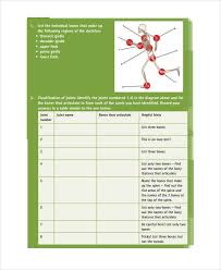 Skeletal muscle is a voluntary muscle, which means that we can actively control its function. Muscle Chart 7 Free Pdf Documents Download Free Premium Templates