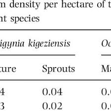 Image result for Rytigynia sp. M