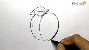 Like most of my how to draw fruit lessons, this tutorial begins with sketching a simple circle. How To Draw Plum Step By Step Youtube